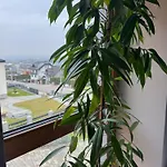 Klimatyczne Na Ligonia Проживание в семье *