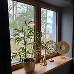 Klimatyczne Na Ligonia Проживание в семье *