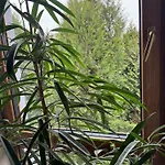 Проживание в семье Klimatyczne Na Ligonia
