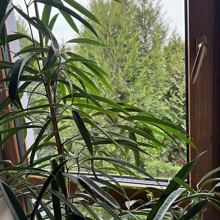 Habitación en casa particular Klimatyczne Na Ligonia