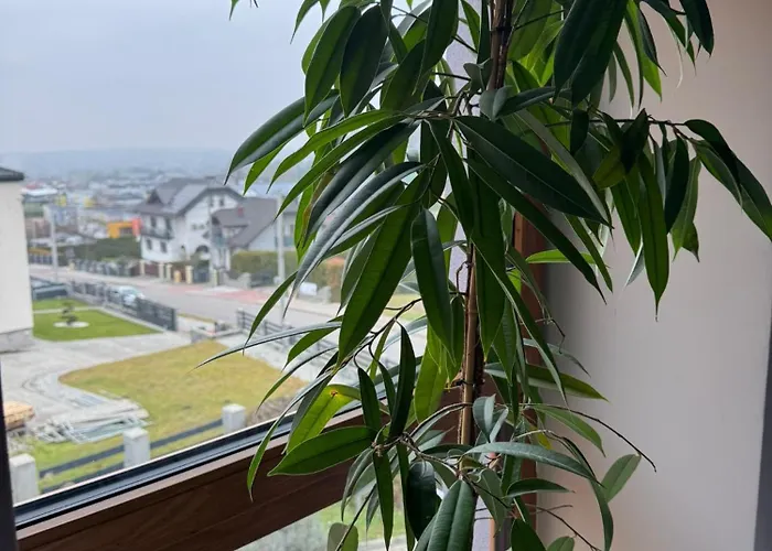 Klimatyczne Na Ligonia Pansiyon *