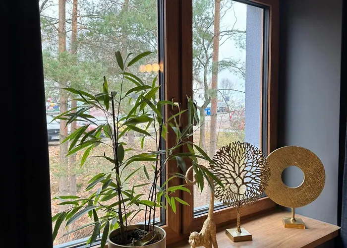 Klimatyczne Na Ligonia Проживание в семье *