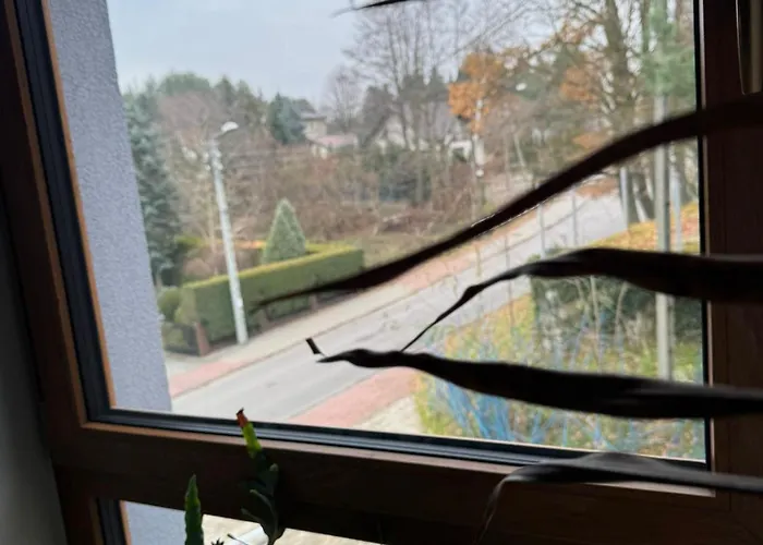 Klimatyczne Na Ligonia Turza Śląska